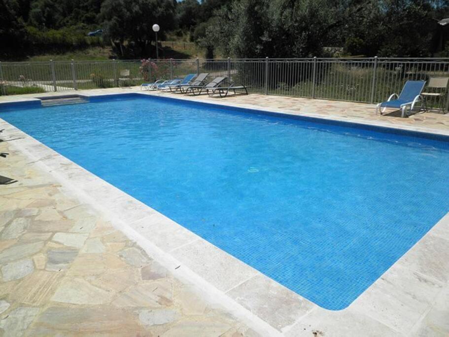 Maison Au Calme Avec Piscine Et Climatisation Sollacaro Eksteriør billede