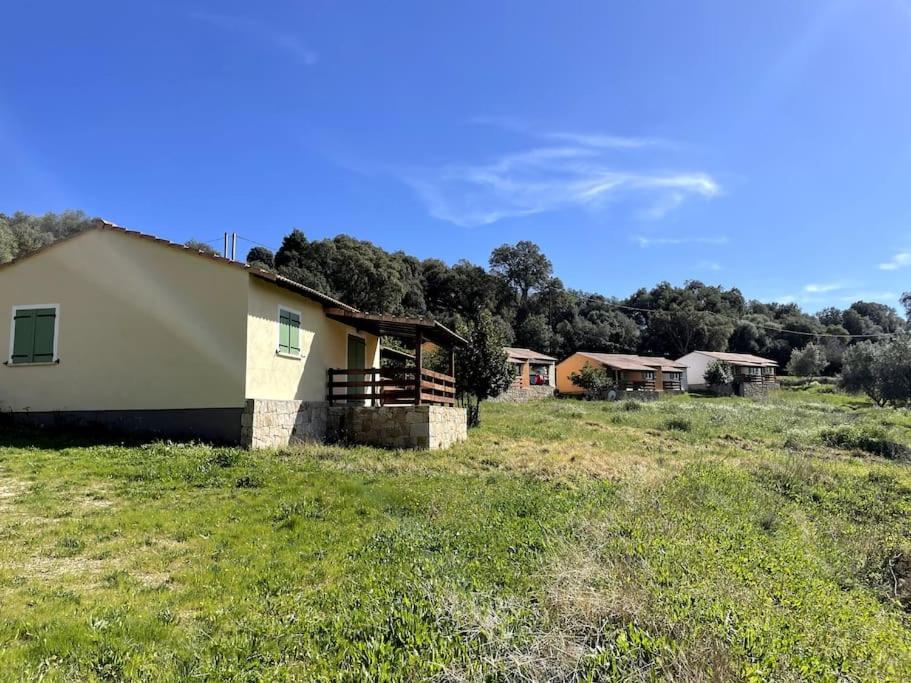 Maison Au Calme Avec Piscine Et Climatisation Sollacaro Eksteriør billede